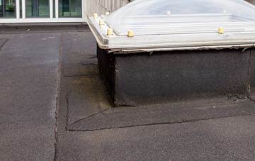 disadvantages of Llanarmon Dyffryn Ceiriog flat roofs