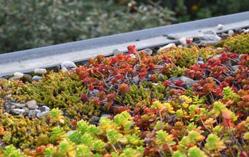 the cost of Llanarmon Dyffryn Ceiriog green roof installation