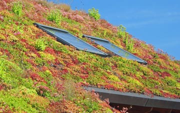 Llanarmon Dyffryn Ceiriog living roof systems