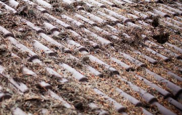 Llanarmon Dyffryn Ceiriog roof cleaning companies