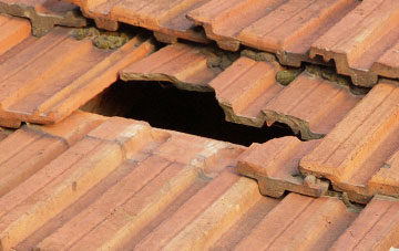 roof repair Llanarmon Dyffryn Ceiriog, Wrexham
