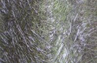 Llanarmon Dyffryn Ceiriog fibreglass roof work